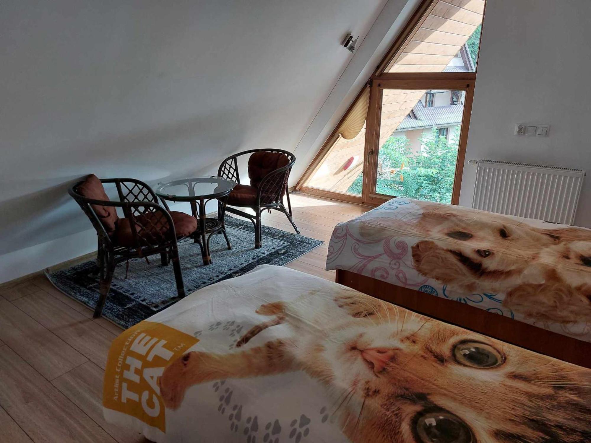 Apartamenty Cede Zakopane Eksteriør billede